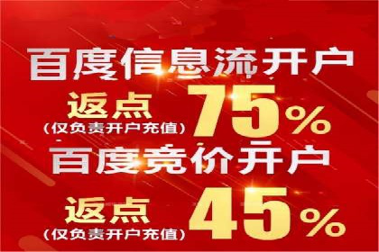 谷歌SEM案例研究：数据分析与效果评估